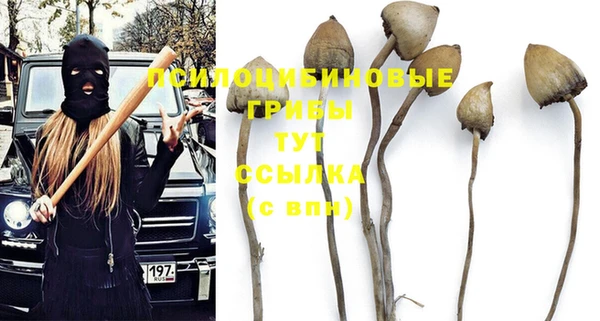 твердый Абаза