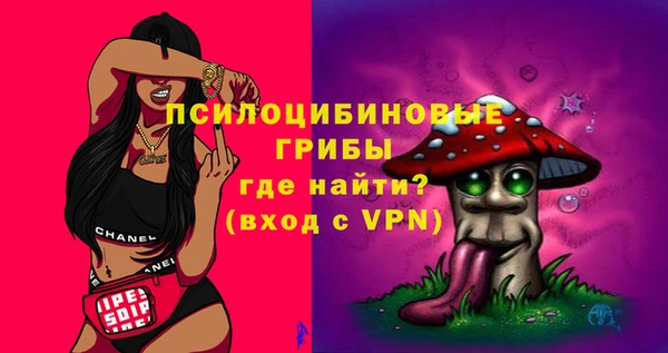 твердый Абаза