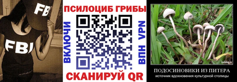 Псилоцибиновые грибы ЛСД Дубна