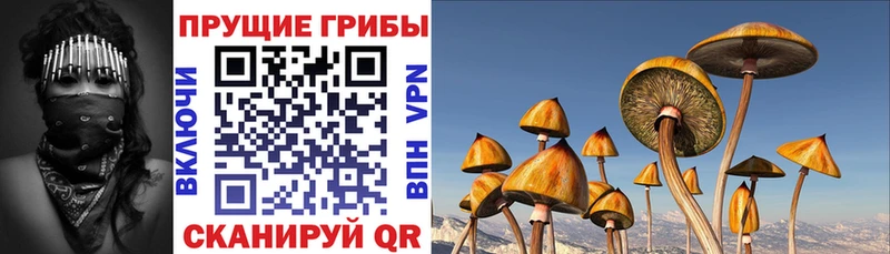цена   Дубна  Псилоцибиновые грибы ЛСД 
