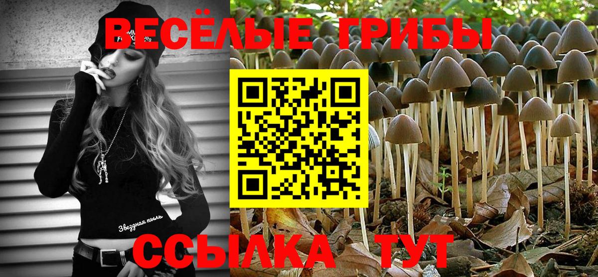 Галлюциногенные грибы MAGIC MUSHROOMS Дубна